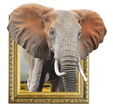  Ceramic Sculptures  3